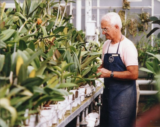 A person with short white hair, wearing a blue apron, tending to potted plants in a nursery.